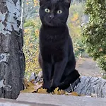 αγροικία δύο υπνοδωματιων με ατομικά μπάνια Εξοχικό σπίτι Αράχωβα